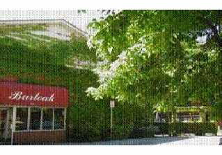 5370-lakeshore-road-burlington-ontario-h155438