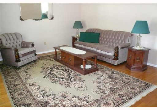 14-yorkdale-crescent-stoney-creek-ontario-h285977