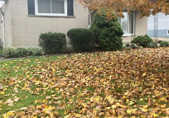 309-cranbrook-drive-hamilton-ontario-h4041091